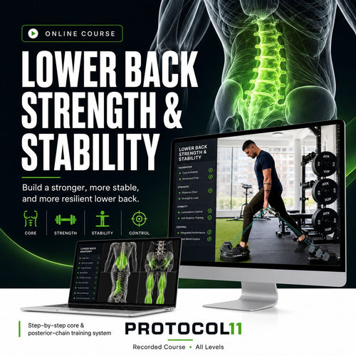 5 in 1 Protocol Bundle