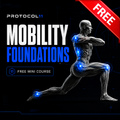 Protocol11 Mobility Foundations
