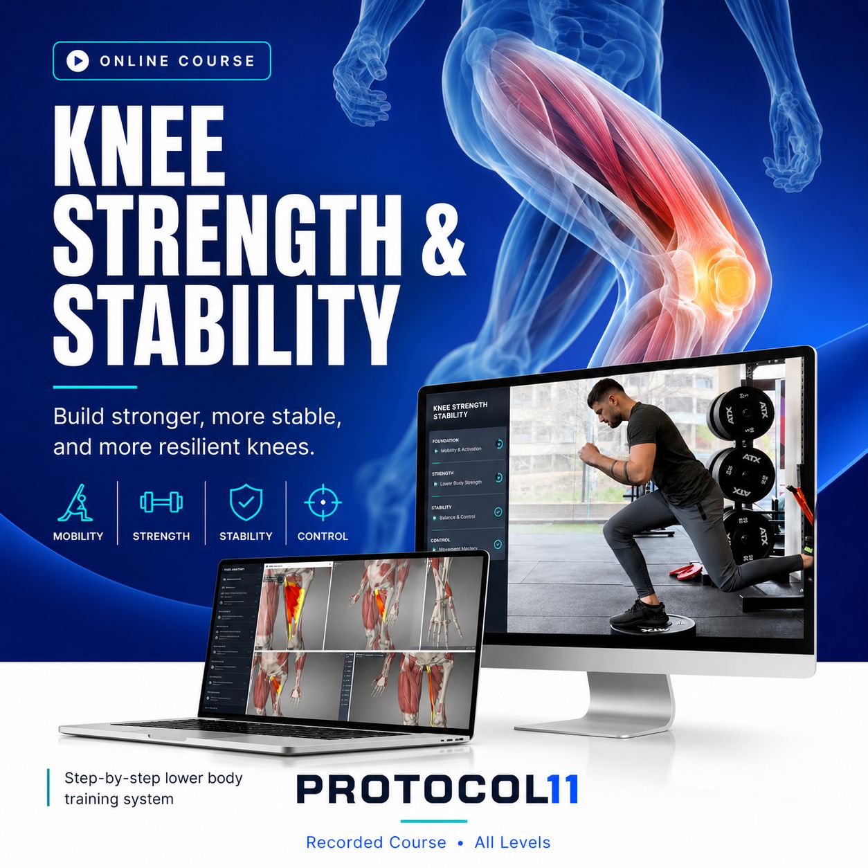 Knee Strength & Stability Protocol